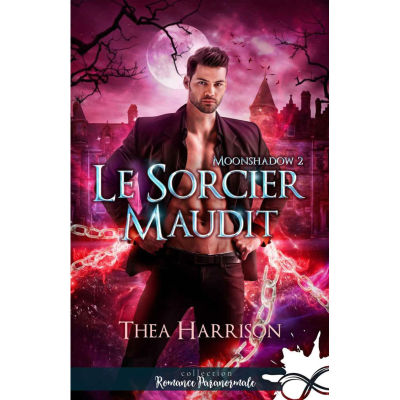 Le sorcier maudit